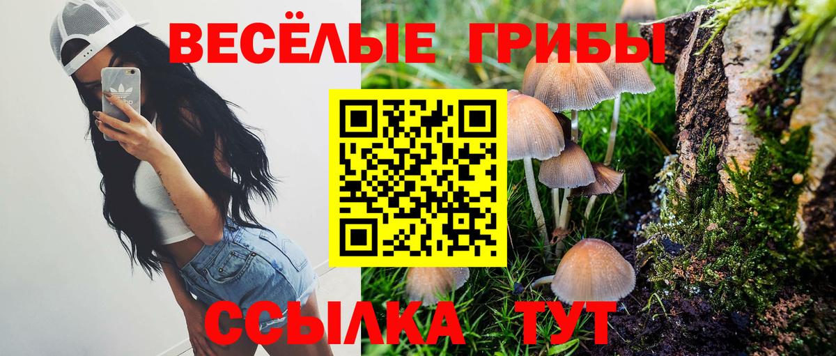 Псилоцибиновые грибы мицелий  Вход с VPN  Назарово 