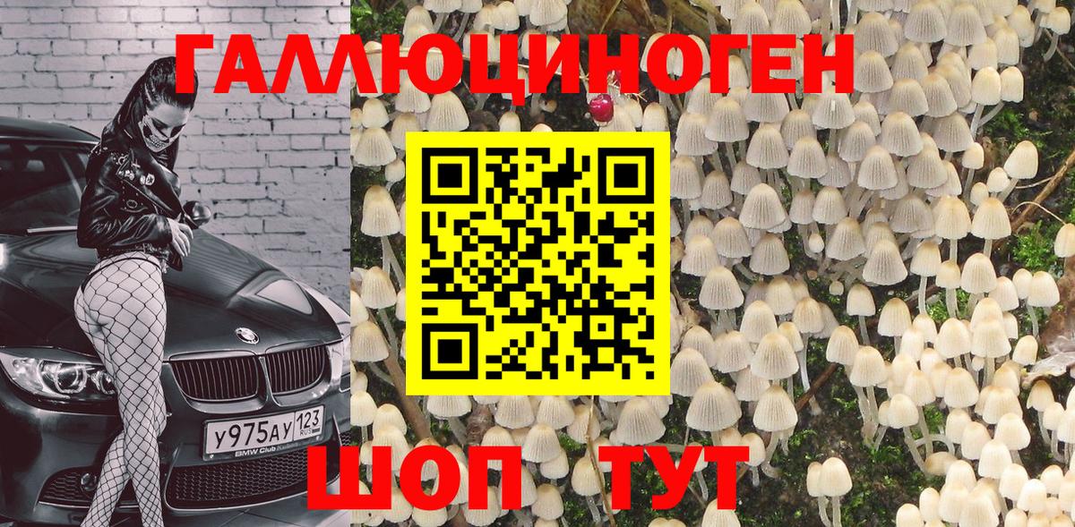 Галлюциногенные грибы MAGIC MUSHROOMS Назарово